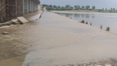 Photo of Rajasthan Rain: राजस्थान में भारी बारिश का कहर! कई नदी-नाले उफान पर; पार्वती नदी में चार लड़कियां डूबीं