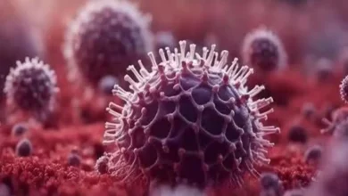 Photo of अब राजस्थान पहुंचा HMPV Virus, 2 माह का बच्चा संक्रमित, जानिए अब कैसी है उसकी हालत