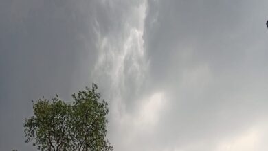 Photo of मध्य प्रदेश में फिर से बदलने वाला है मौसम! कई जिलों में बारिश और ओले का अलर्ट, जानें ताजा अपडेट्स