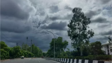 Photo of मध्यप्रदेश के पूर्वी क्षेत्र के सात जिलों में आज होगी हल्की बारिश, कल से दिखेगा लू का असर