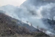 Photo of माउंट आबू और रणथंभौर टाइगर रिजर्व के बाद भीषण आग की चपेट में आया राजसमंद का जंगल, 3 किमी जलकर हुआ खाक