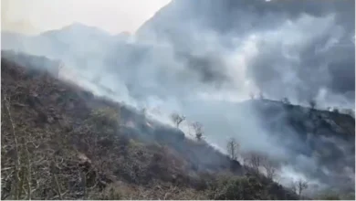 Photo of माउंट आबू और रणथंभौर टाइगर रिजर्व के बाद भीषण आग की चपेट में आया राजसमंद का जंगल, 3 किमी जलकर हुआ खाक
