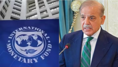 Photo of IMF, वर्ल्ड बैंक और मूडीज की भविष्यवाणियां… PAK-तुर्किए मिलकर भी नहीं कर पाएंगे भारत से मुकाबला