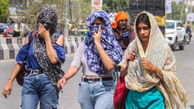 Photo of पंजाब-हरियाणा में गर्मी का कहर! बठिंडा-रोहतक में पारा 43 के पार, IMD ने जारी की चेतावनी
