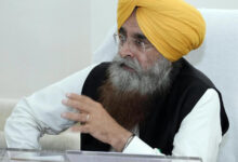 Photo of पंजाब मंडी बोर्ड ने ई-नीलामी से कमाए 324 करोड़ रुपए