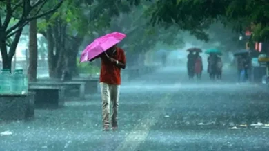 Photo of यूपी में आज भी कई जिलों में आंधी-बारिश का अलर्ट, इस दिन से चढ़ेगा पारा, पड़ेगी प्रचंड गर्मी