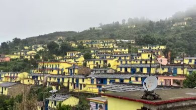 Photo of सीएम धामी ने बदली सरकोट गांव की तस्वीर, मशरूम और फलों के लिए देश-दुनिया में नाम