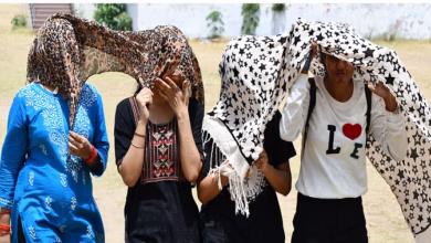 Photo of प्रदेश में आज से दिखेगा नौतपा का असर, घटेगा बारिश और आंधी का दायरा; इन जिलों में छाए रह सकते हैं बादल