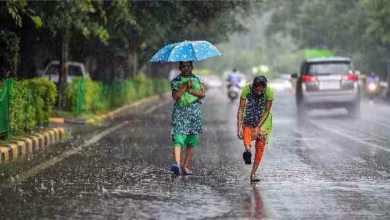 Photo of छत्तीसगढ़ में अब सक्रिय होगा मानसून, बस्तर संभाग में पड़ेंगी बौछारें, जानें अन्य जिलों का हाल