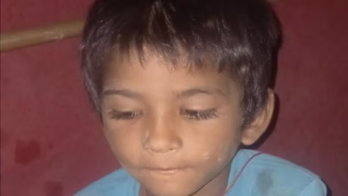 Photo of कपूरथला में बच्चा किडनैप: दही लेने बाजार गया था मिराज, अनजान शख्स ऑटो में ले गया