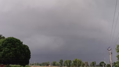 Photo of हरियाणा में छाया मानसून: पानीपत समेत कई जिलों में सुबह से झमाझम बारिश, अगले दो दिन बरसात का अलर्ट