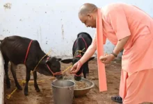 Photo of किसानों को चार गाय, मनरेगा के तहत टीनशेड और बायोगैस देगी यूपी सरकार, गांवों में स्थायी रोजगार को योगी का प्रयास