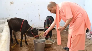 Photo of किसानों को चार गाय, मनरेगा के तहत टीनशेड और बायोगैस देगी यूपी सरकार, गांवों में स्थायी रोजगार को योगी का प्रयास