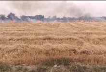 Photo of पराली प्रबंधन की चिंता: वायु गुणवत्ता प्रबंधन आयोग करेगा एक्शन प्लान की समीक्षा, हॉट स्पॉट का करेगी दाैरा