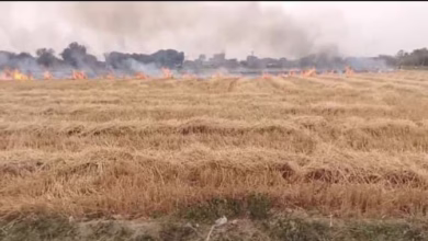 Photo of पराली प्रबंधन की चिंता: वायु गुणवत्ता प्रबंधन आयोग करेगा एक्शन प्लान की समीक्षा, हॉट स्पॉट का करेगी दाैरा