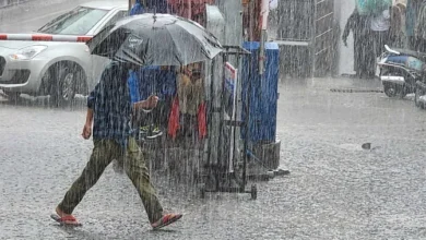 Photo of पूरे पंजाब में रुक-रुककर बरसात से गिरा पारा, अगले दो दिन भी भारी बारिश का अलर्ट