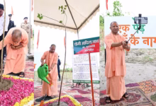 Photo of प्रदेश में एक दिन में रोपे गए 37 करोड़ पौधे, सीएम ने अयोध्या तो राज्यपाल ने बाराबंकी में किया पौधरोपण