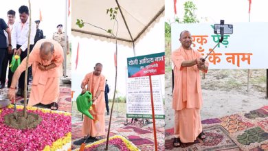 Photo of प्रदेश में एक दिन में रोपे गए 37 करोड़ पौधे, सीएम ने अयोध्या तो राज्यपाल ने बाराबंकी में किया पौधरोपण