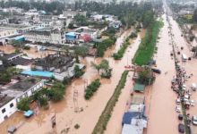 Photo of हरियाणा में बाढ़ का कहर: हाईवे पर नदियां… वाहनों पर ब्रेक, बारिश ने पांच और जानें लीं; छह तक स्कूल बंद