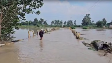 Photo of यमुना नदी में उफान: 10 किलोमीटर के दायरे में फैला पानी, किसानों की फसलें हुईं बर्बाद, कई गांव हुए जलमग्न