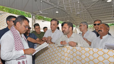 Photo of शहरी और ग्रामीण सेवा शिविर; पट्टे से लेकर पेंशन तक, एक ही जगह हो सकेंगे इन 18 विभागों के काम