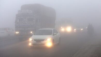 Photo of पंजाब में कोहरा शुरू: अमृतसर में दृश्यता 800 मीटर दर्ज