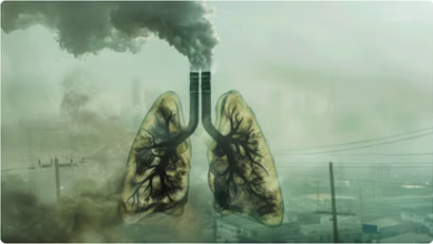 Photo of जहरीली हवा से बढ़ रहा फेफड़ों की इस गंभीर बीमारी का खतरा