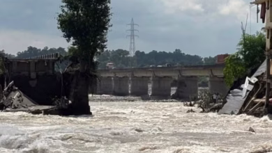 Photo of पंजाब के बांध कितने सुरक्षित: चेक करेगी पंजाब सरकार