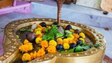 Photo of उत्पन्ना एकादशी के दिन शिवलिंग पर चढ़ाएं ये चीजें
