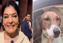 Photo of ‘किसी सांसद को कुत्ता नहीं… कुत्तों का अपमान’, रेणुका चौधरी के नए बयान से माहौल गरमाया