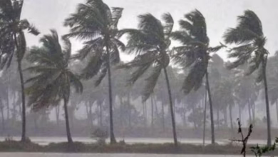 Photo of दित्वाह चक्रवात का असर बिहार में भी, कई जगह कोहरे से राहगीर परेशान