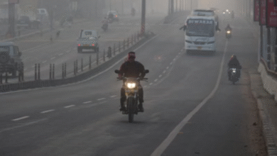 Photo of एमपी में नवंबर वाली सर्दी ने तोड़े रिकॉर्ड, अब दिसंबर की बारी