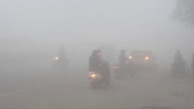 Photo of पंजाब में कड़ाके की ठंड: घने कोहरे से विजिबिलिटी शून्य, अमृतसर में लैंड नहीं हुई फ्लाइट्स